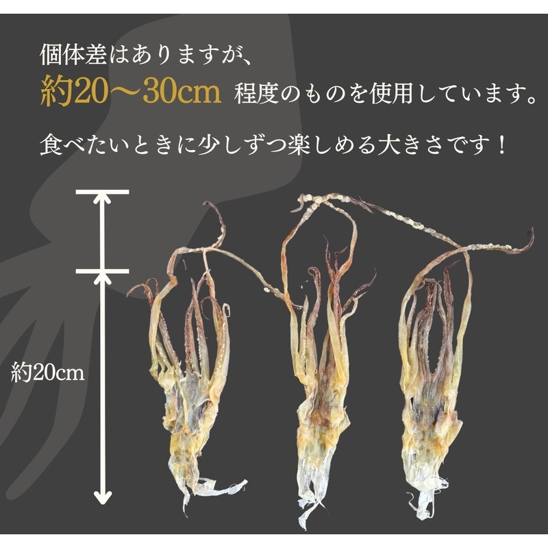Kurumegeso, Squid Lead, 8.8 oz (250 g), Squid Foot, Squid