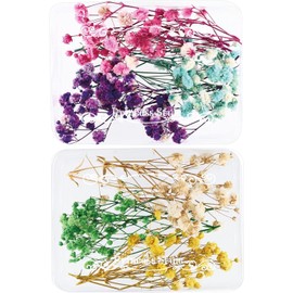 Princess-style Dried Flower Accessory Parts for Hand Made Small Flowers 6 Colors/Set