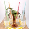 Rainbow Reusable Straws