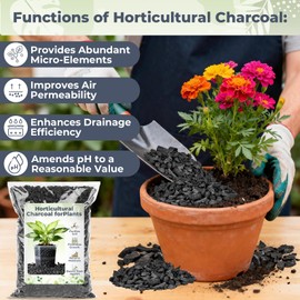 Sukh Horticultural Charcoal for Plants - 1Qt. Natural Earth Regulated Supplement for Potting Soil Indoor Plants, Organic Biochar, Succulent Soil, Paphiopedilum, Bonsai, Terrarium