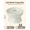Ceramic Tilted Elevated Small Cat Bowl, for Fat Faced Cat,