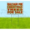 Balsam Fir Christmas Trees for Sale (18" X 24") Yard