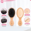 2Pcs Travel/Mini Hair Brush Boar Bristle Hairbrush for Girls Boys