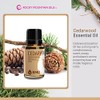 Cedarwood Essential Oil 15ml
