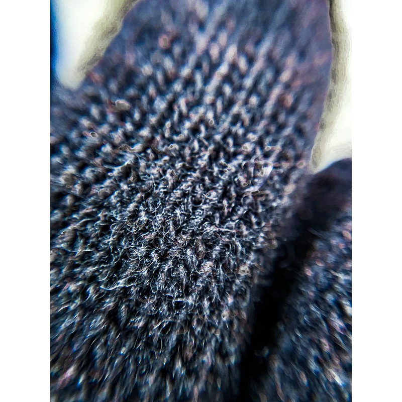 CLASSE77 - Wool Cashmere Gloves Lined with Leather Edging for