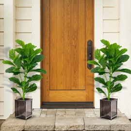 SlickBlue 2 Pack Artificial Fiddle Leaf Fig Tree Lifelike Indoor Decor Plant with 100 Leaves Green