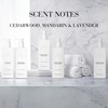 Bellagio Moisturizing Body Lotion - Hydrating Shea Butter - Scented