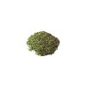 The Spiceworks Nettle herb dried leaf 100g Hereford Herbs &