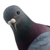 Artificial Simulated Foam Birds, Artificial Compression Foam Simulation Pigeon, Mini