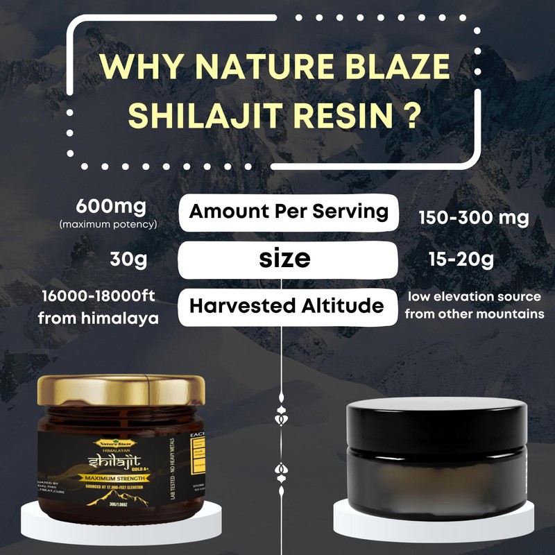 Nature Blaze Himalayan Shilajit Resin (30 Gm / 1.0 Oz)