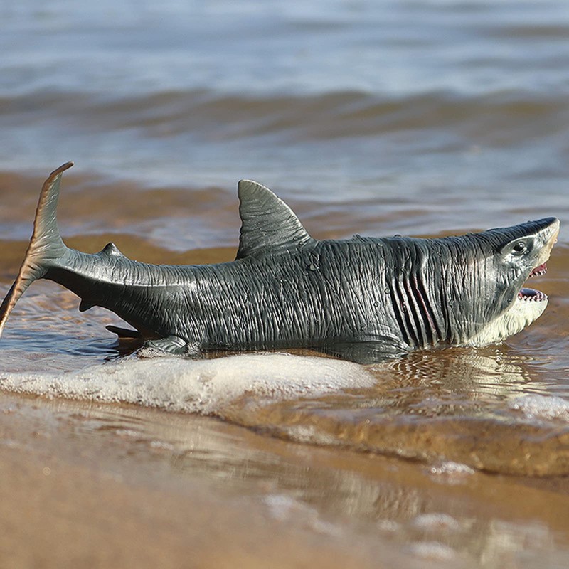 Megalodon Great White Shark, Sea Animals, Fish, Animal Set, 11