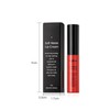 Anifer Velvet Matte Liquid Lipstick Makeup Long-Lasting and Waterproof Wear,