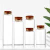 ICSTM Glass Bottles with Cork,2 Pack 5oz Empty Clear Glass