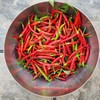 home grown Thai Chilli Super 30+ HEIRLOOM Seeds Very High