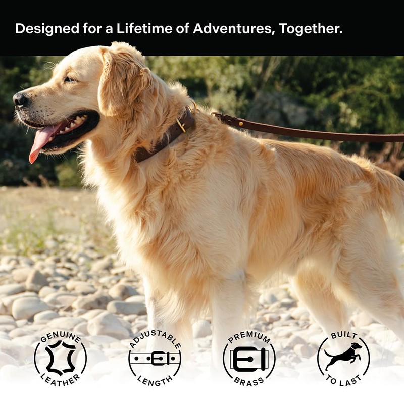 Scout Supply Classic Leather Dog Collar | Heavy Duty Thick