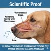 Egdusns Dog Calming Diffuser for Dogs, 2 Diffusers + 4