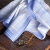 "Lewis" man handkerchiefs - 16" square - 12 units