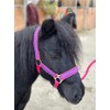 POLKA DOT HEADCOLLAR WITH LEAD ROPE FULL-MINI SHETLAND (Raspberry, Pony)