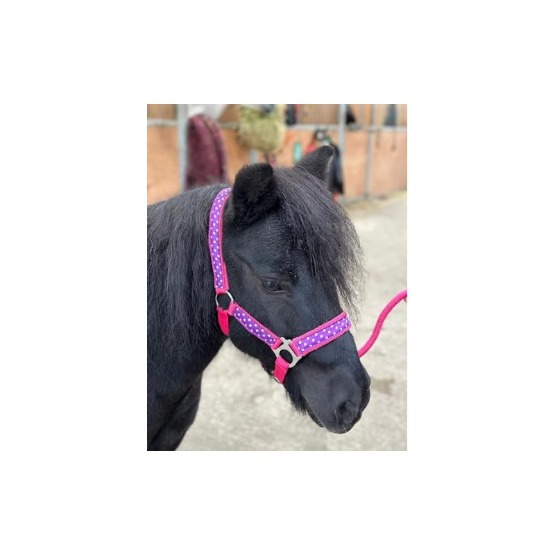 POLKA DOT HEADCOLLAR WITH LEAD ROPE FULL-MINI SHETLAND (Raspberry, Pony)