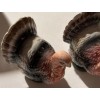 Ron Gordon Designs~Turkey Gobbler Ceramic Salt & Pepper Shakers~ NIB