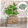 NUOBESTY 200g Green Broken Tiles Mixed DIY Tiles Ceramic Set