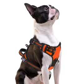 PUPTECK Adjustable Dog Vest Harness, Comfortable Pet Harness, Reflective Step-in No Pull and Breathable Mesh Dog Vest Harness, Orange S