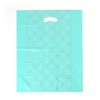 100 Count Garment Plastic Bags (Mint) (40x50cm) Garment Bag 10ea