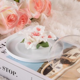 Passive Essential Oil Ceramic Diffuser Aromatherapy Mini Ceramic Essential Oil Small Diffuser for Desk Office Bedroom Study Room Home Gift