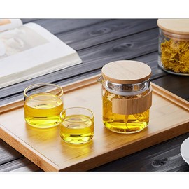 ECYC Portable Travel Tea Set with Storage Case, All-in-One Glass Teawares with Strainer, 1 Teapot 2 Cups