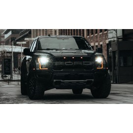 Palmetto Posters 24x36 Poster: Ford Raptor Ford Vehicle 204318