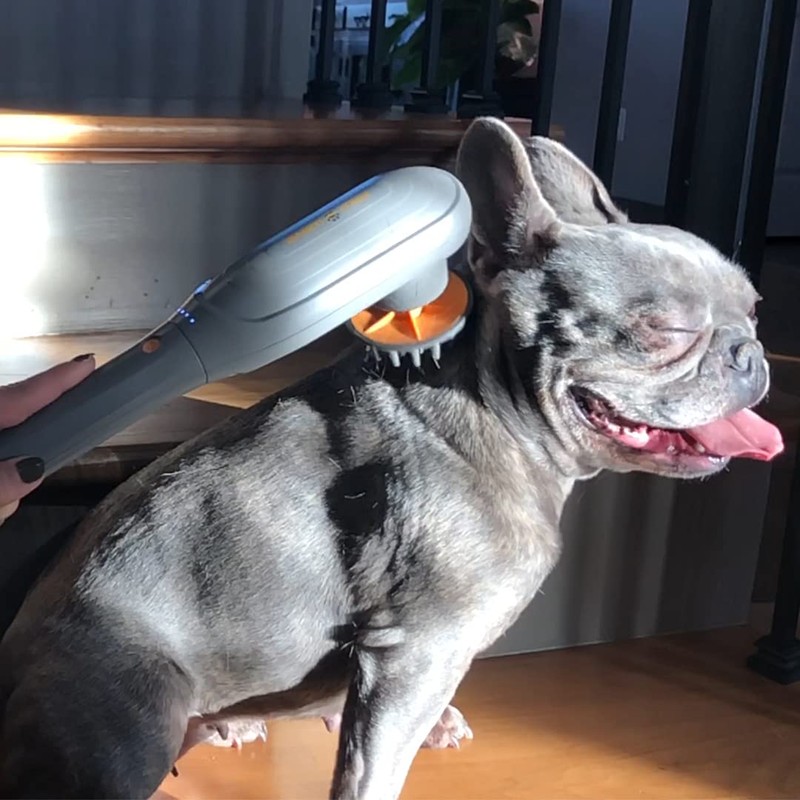 PAW WAVE PERK Percussion Pet Massager for Dogs and Cats