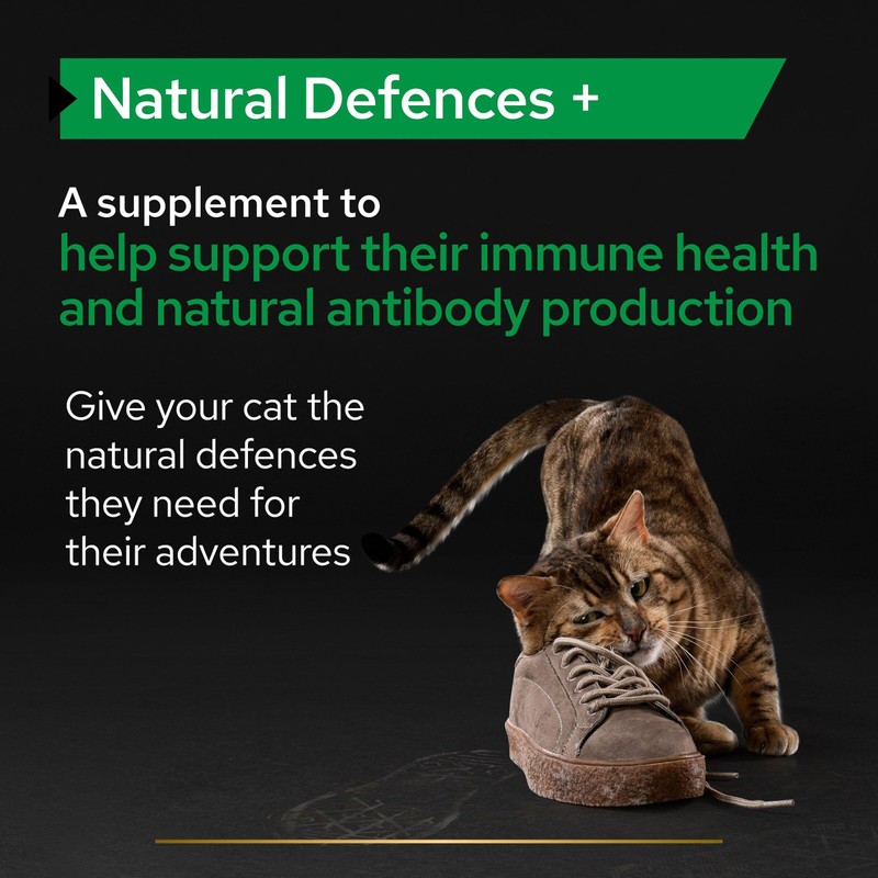 PRO PLAN Cat Natural Defences Supplement | Immune health support,