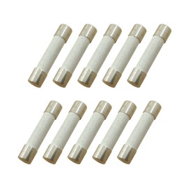 YOLISTIC (Pack of 10) 30 Amp Slow-Blow Time Delay Fuse Ceramic 6x30mm