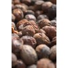 Naiad Argan Oil 0.2 fl oz (7 ml)