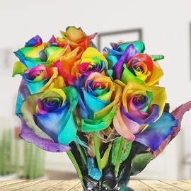 Colourful Flowers: 10 Real Rainbow Roses - Long Handled - Vase Ready - Fresh Roses by Rosenbote