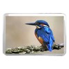 1 x Fridge Magnet -Blue Kingfisher Classic Fridge Magnet -