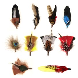 Adorila Hat Feathers Small Feathers for Cowboy Hats Colorful Natural Feathers for Craft Supplies Decorations 10pcs