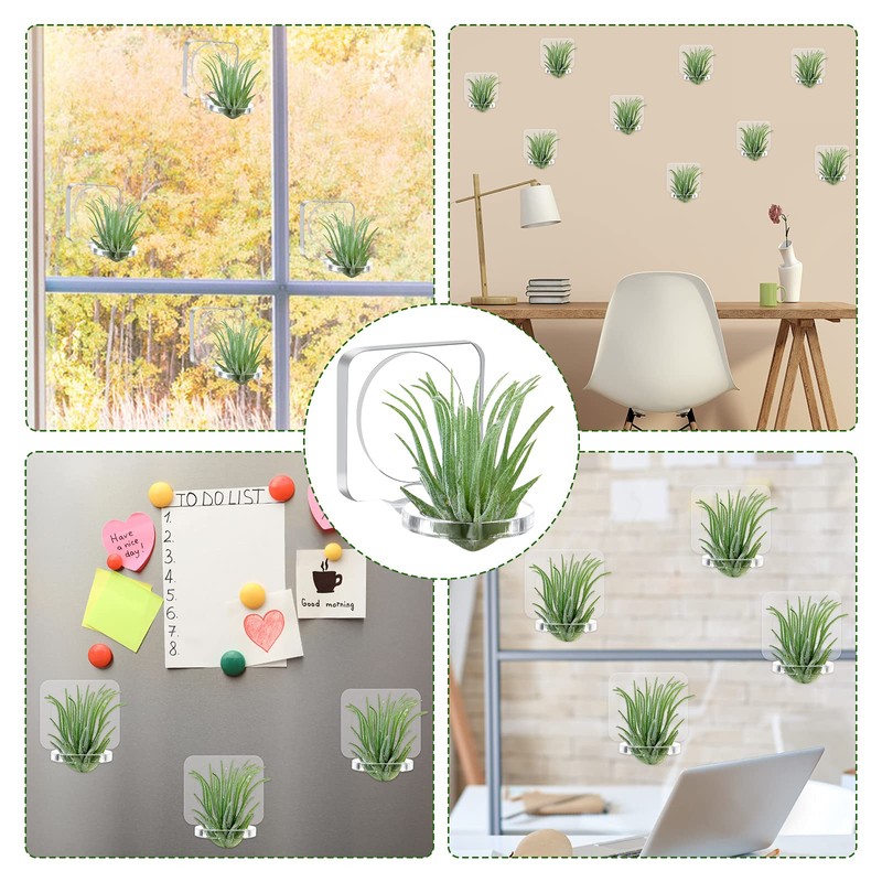 Jetec 24 Pcs Acrylic Air Plants Holder Hanger with Mounting