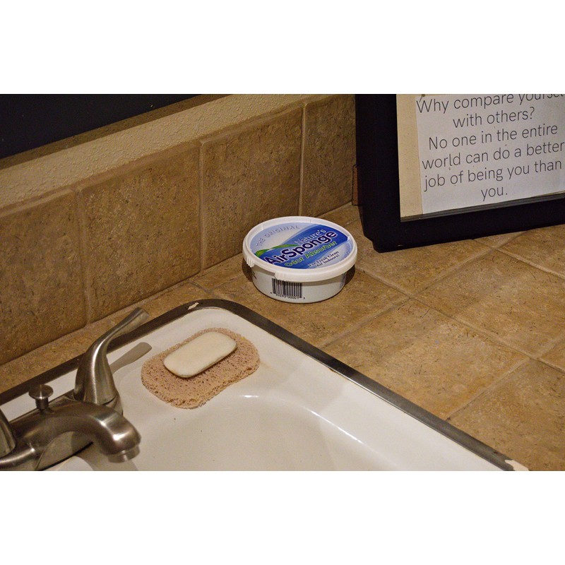 Nature's Air Sponge Odor Absorber Unscented Plastic Tub 1/2 Lb.