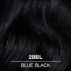 COLORCHARM Demi Permanent Hair Color | 2BBL Blue Black |