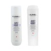 Goldwell Dualsenses Just Smooth Taming Shampoo 250 ml and Conditioner