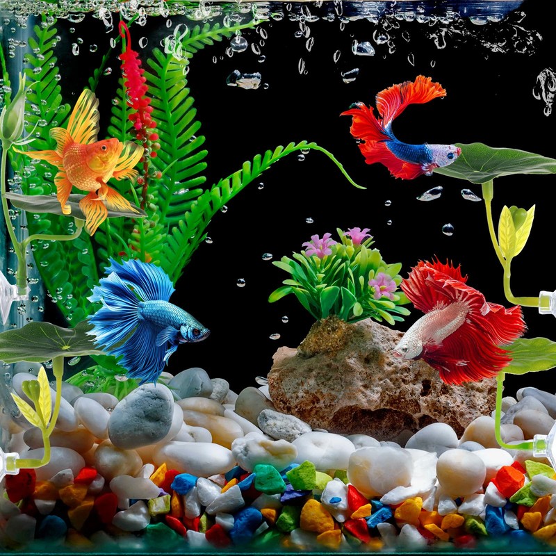 4 Pcs Betta Hammock & Fish Toys Set,Betta Fish Tank
