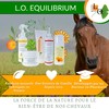 Frog Equilibrium Express - Natural, Repairing and Protective Care for