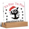 Funny Christmas Gifts, Christmas Cat Decorations for Home, Everything is