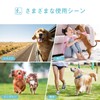 Avont 3 Pcs Female Dog Manor Belt Washable Reusable High