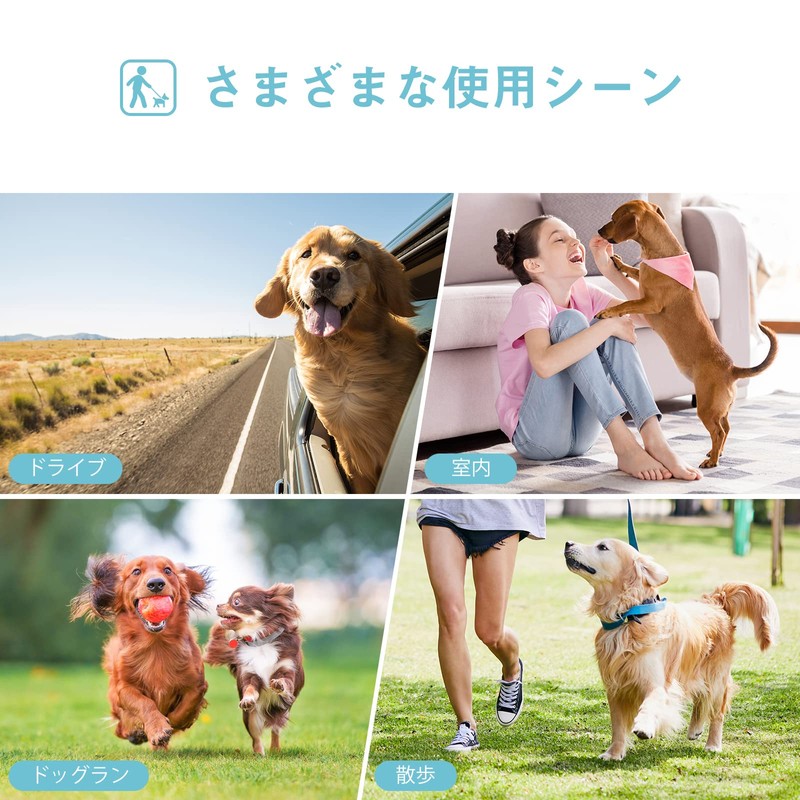 Avont 3 Pcs Female Dog Manor Belt Washable Reusable High