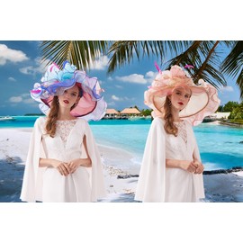 TLMNU Women Derby Church Hat Organza Flower Wedding Tea Party Fascinator Hat Wide Brim Sun Hat 01SkyBlue