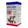 Hierro Farvet 100 Ml Inyectable Far Vet Animales