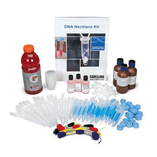 Dna Classroom Lab Activity, Create Dna Wearable Pendant Necklaces