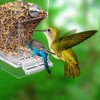 JAOCDOEN - Alimentador automático para pájaros, a prueba de salpicaduras,